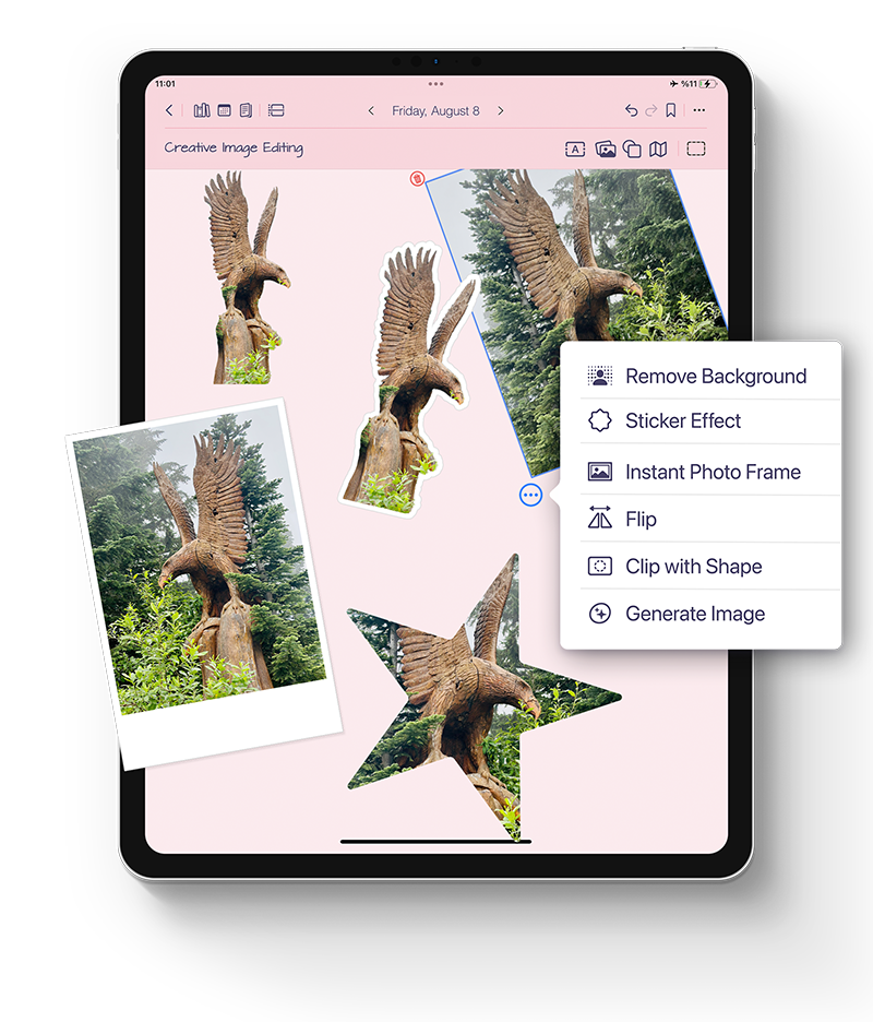 Creative Image Editing